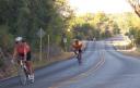 Tour de Gruene