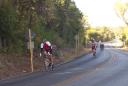 Tour de Gruene