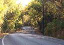 Tour de Gruene