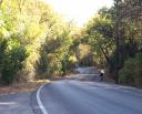 Tour de Gruene