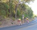 Tour de Gruene