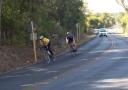 Tour de Gruene